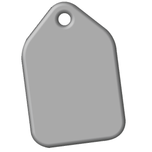 Insumo Llavero Etiqueta sublimable x 1 unidad (3,2x4,8cm)
